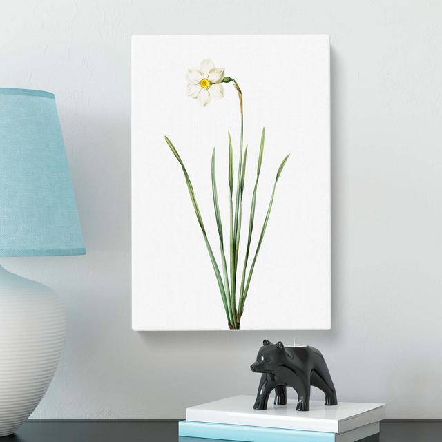 Poeticus Daffodil by Pierre-Joseph Redoute - Wrapped Canvas Painting Print East Urban Home Size: 76cm H x 50cm W x 3cm D on Productcaster.