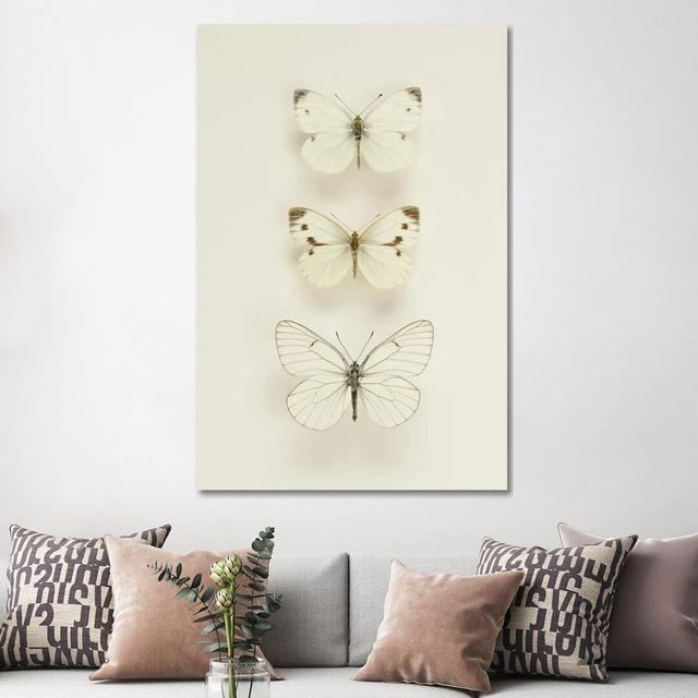 Three Butterflies by Alyson Fennell - Wrapped Canvas Photograph Brambly Cottage Size: 152.4cm H x 101.6cm W x 3.81cm D on Productcaster.