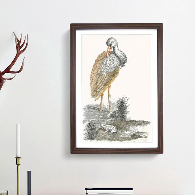 Stork & Frog by Johan Teyler - Picture Frame Art Print East Urban Home Size: 65cm H x 48cm W x 2cm D, Frame Option: Walnut Framed on Productcaster.