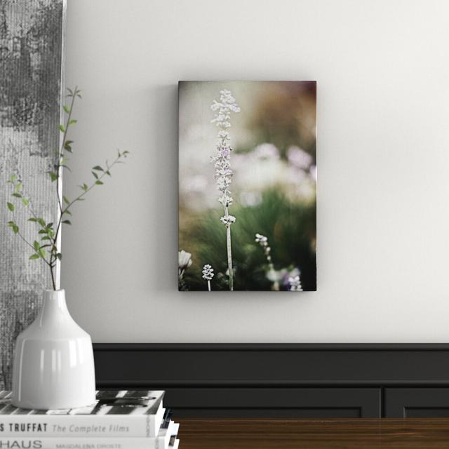 Wrapped Canvas Print Oliver Gal Size: 38cm H x 25cm W x 3.8cm D on Productcaster.