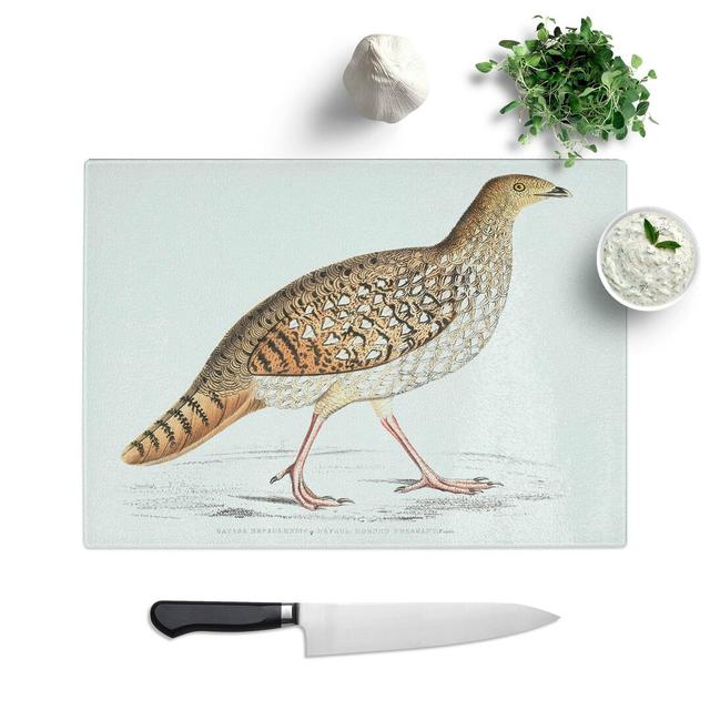 Tempered Glass Pheasant Illustration by John Edward Gray Chopping Board East Urban Home Size: 39 cm W x 28.5 cm L on Productcaster.