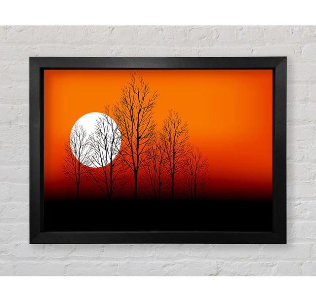 Orange Sunset Trees - Einzelne Bilderrahmen Kunstdrucke Bright Star Größe: 42cm H x 59,7cm B x 3,4cm T on Productcaster.