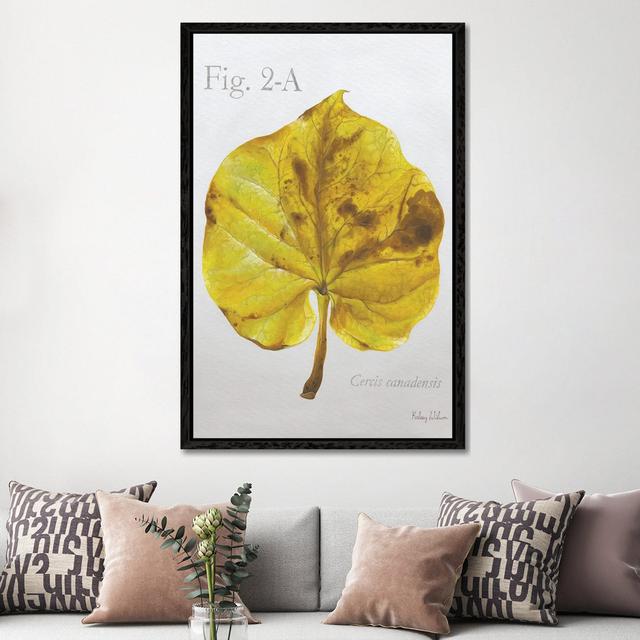 Autumn Leaves On Gray IV-Redbud by Kelsey Wilson - Gallery-Wrapped Canvas Giclée on Canvas Lark Manor Format: Black Framed, Size: 152.4cm H x 101.6cm on Productcaster.