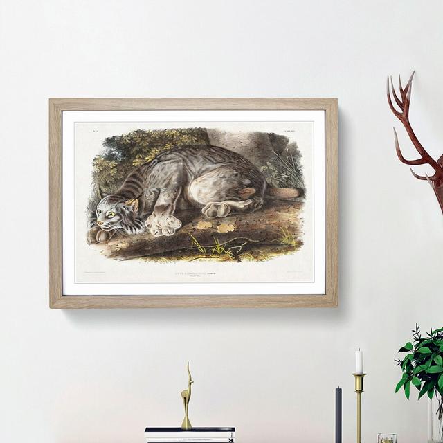 Canadian Lynx by J.W. Audubon - Picture Frame Painting Print East Urban Home Frame Option: Oak Framed, Size: 36cm H x 48cm W x 2cm D on Productcaster.