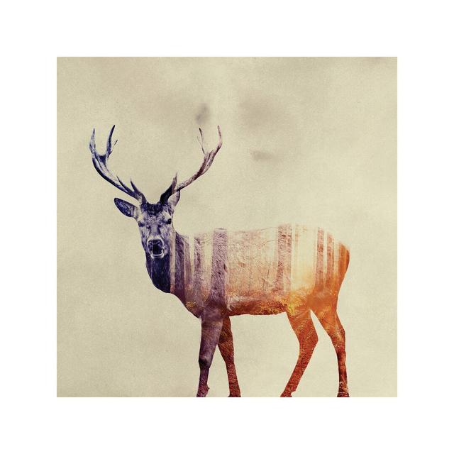 Deer I by Andreas Lie - Print on Canvas East Urban Home Size: 30.48cm H x 30.48cm W x 1.91cm D, Frame Option: No Frame on Productcaster.