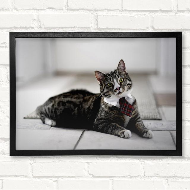 Funny Cat Wears Tie Framed Print Latitude Run Size: 59.7cm H x 84.1cm W on Productcaster.