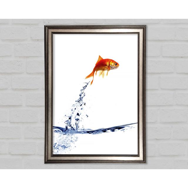 Jumping Goldfish Framed Print Highland Dunes Size: 42cm H x 59.7cm W on Productcaster.