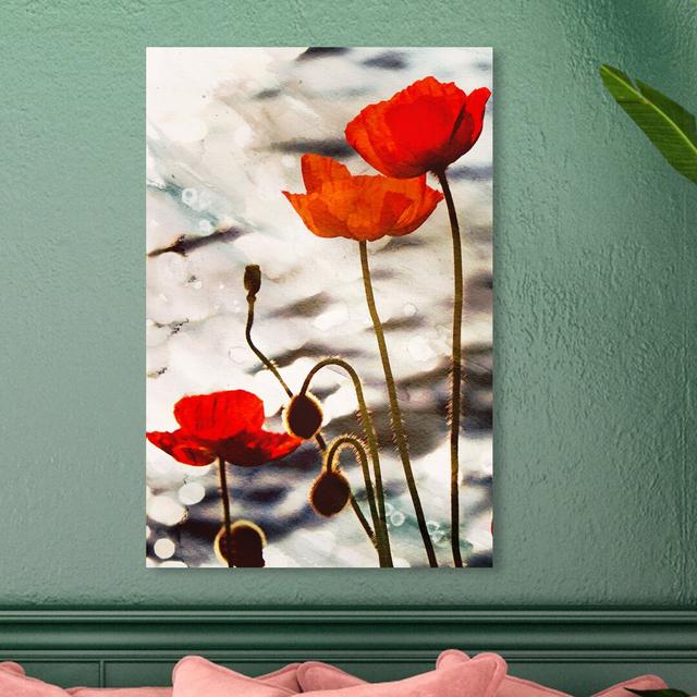 'Poppy Dusk' Graphic Art on Wrapped Canvas East Urban Home Size: 76.2 cm H x 50.8 cm W on Productcaster.