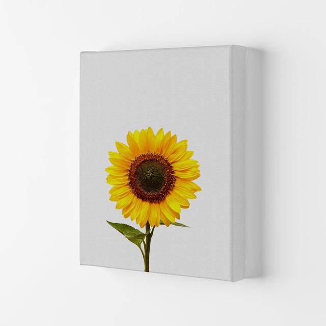 Sunflower Still Life - Photograph Print on Paper East Urban Home Format: Wrapped Canvas, Size: 59.4cm H x 42cm W x 4cm D on Productcaster.