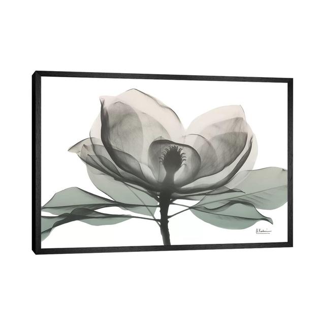 Sage Magnolia I by Albert Koetsier - Print on Canvas Ebern Designs Format: Black Framed, Size: 66.04cm H x 101.6cm W x 3.81cm D on Productcaster.