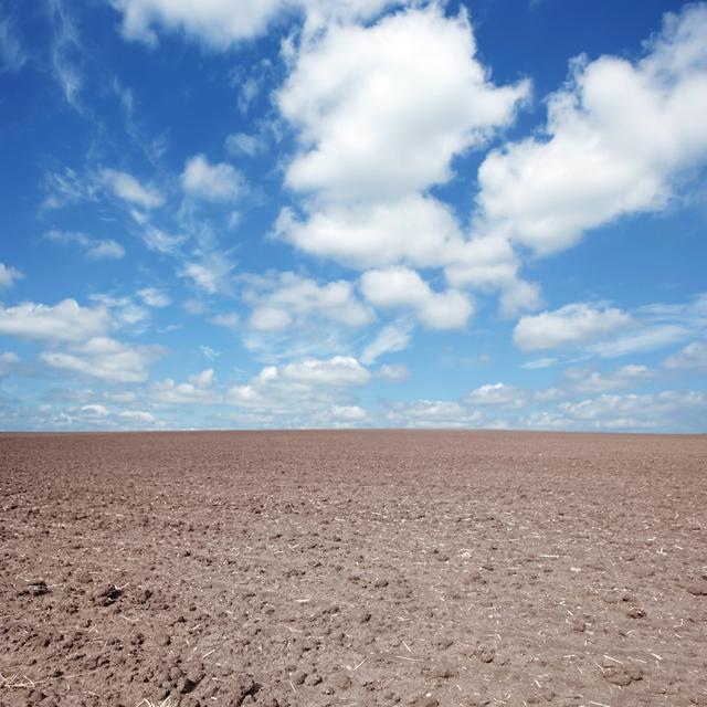 Barren Farm Field by Sharply_done - No Frame Print on Canvas Latitude Run Size: 20cm H x 20cm W on Productcaster.