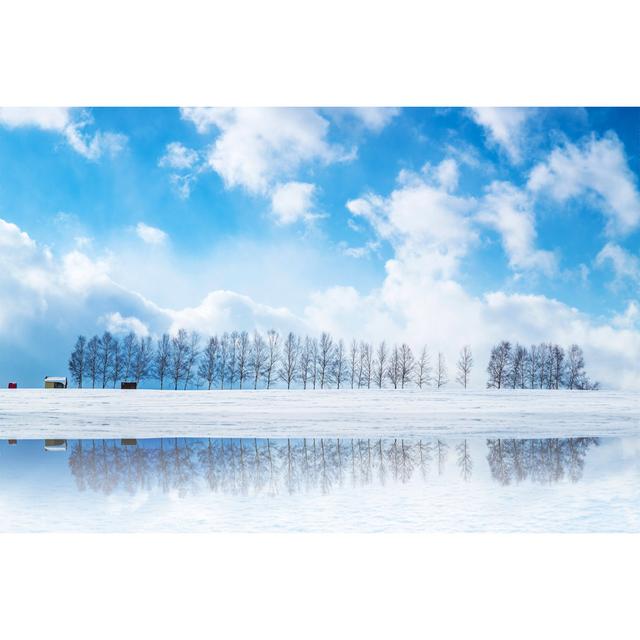 Birch Trees in Biei - Wrapped Canvas Photograph Latitude Run Size: 51cm H x 76cm W on Productcaster.