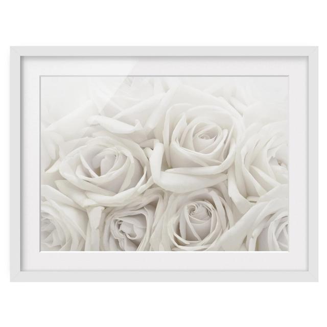 'White Roses' Framed Graphic Art Print East Urban Home Rahmenoptionen: Matt white, Size: 40cm H x 55cm W on Productcaster.