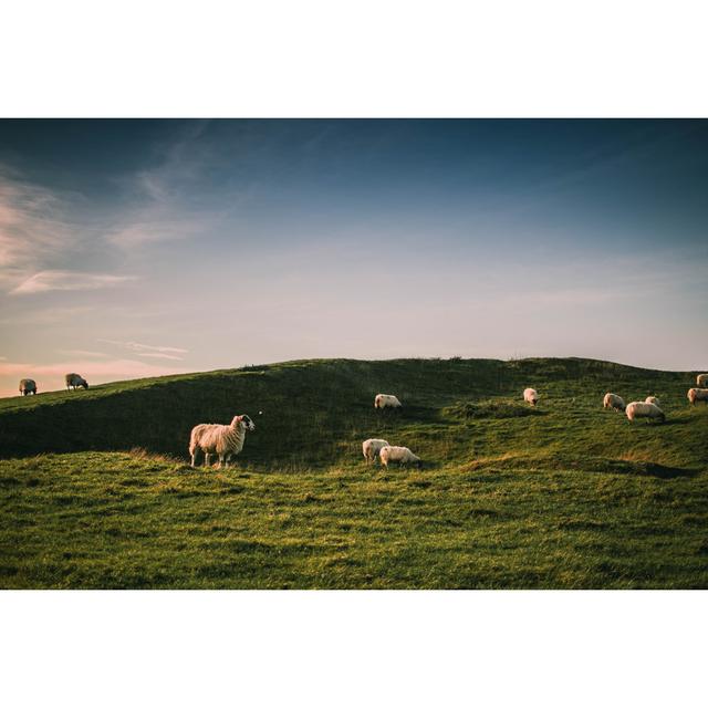 Chanera Sheep Grazing by Henry Crofts - Print 17 Stories Size: 30cm H x 20cm W x 3.8cm D on Productcaster.