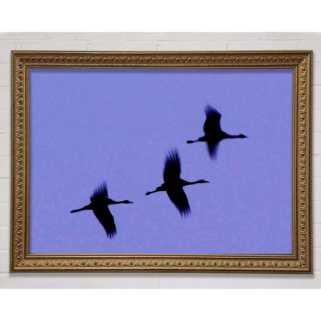 Geese Trio In Flight Purple - Print Ebern Designs Size: 29.7cm H x 42cm W x 3cm D on Productcaster.