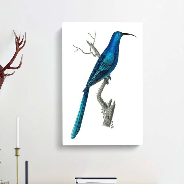 Blue Sugarbird by George Shaw - Wrapped Canvas Painting Print East Urban Home Size: 50cm H x 35cm W x 3cm D on Productcaster.