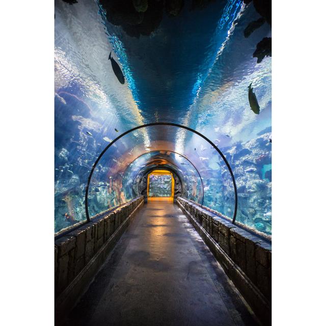 Tunnel Inside An Aquarium by Jorge Villalba - No Frame Art Prints on Canvas 17 Stories Size: 91cm H x 61cm W on Productcaster.