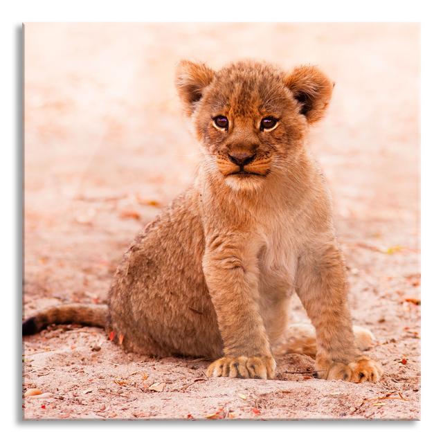 Abandoned Lion Cub - No Frame Print on Glass Brayden Studio Size: 60cm H x 60cm W x 0.4cm D on Productcaster.