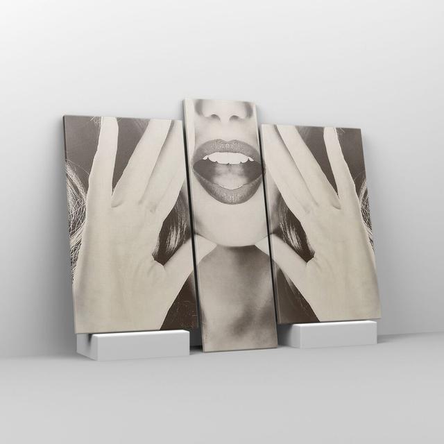 Woman Mouth Mystery - 3 Piece Wrapped Canvas Photograph Canora Grey Size: 80cm H x 95cm W x 1.8cm D on Productcaster.