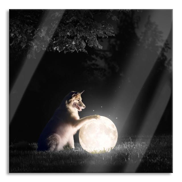 Dog with a Shining Moon at Night - Unframed Graphic Art on Glass Ebern Designs Size: 60cm H x 60cm W x 0.4cm D on Productcaster.