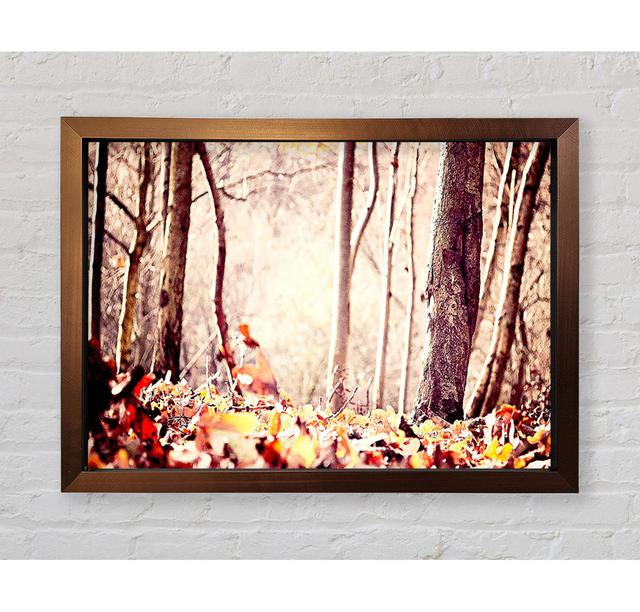 Leaves On The Autumn Ground Framed Print Union Rustic Size: 84.1cm H x 118.9cm W x 3.4cm D, Format: Ventura Bronze Framed Paper on Productcaster.