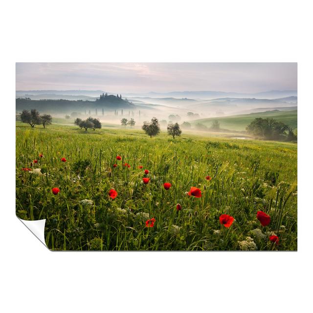 Green Hills on a Foggy Morning Landscape - Unframed Art Prints Panther Print Size: 46cm H x 31cm W x 1cm D on Productcaster.