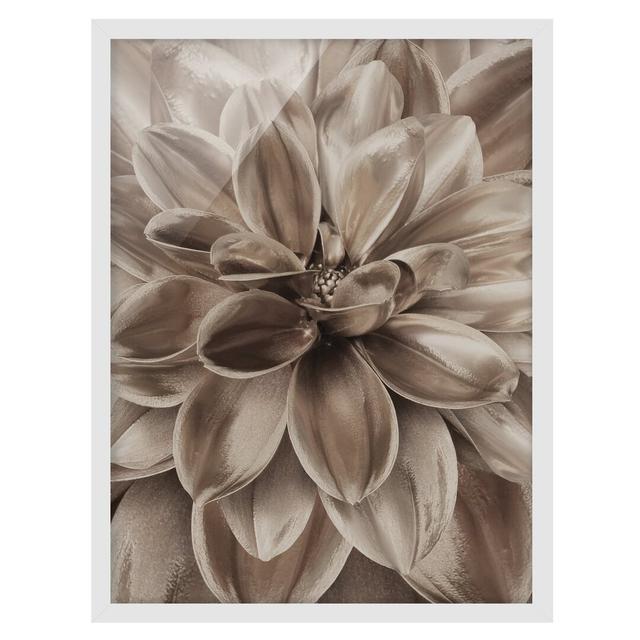 Bronze Dahlia Dream - Picture Frame Graphic Art Ebern Designs Frame Option: White Framed, Size: 40cm H x 30cm W x 2cm D on Productcaster.