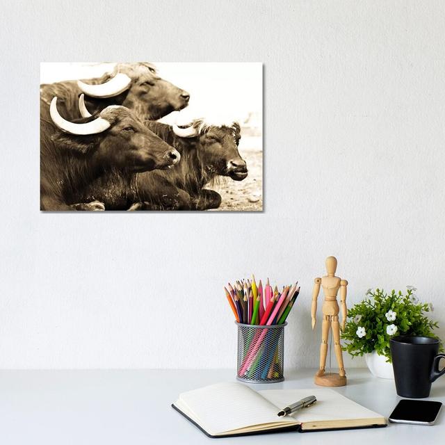 Bisons I by Goran Anastasovski - Wrapped Canvas Photograph Natur Pur Size: 20.32cm H x 30.48cm W x 1.91cm D on Productcaster.