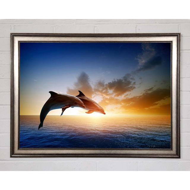 Gerahmtes Poster Jumping Sunset Dolphins House of Hampton Größe: 42 cm H x 59,7 cm B x 1,5 cm T, Format: Poster mit metallgrauem Rahmen on Productcaster.