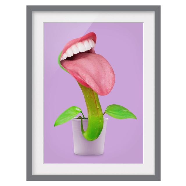 Picture With Frame - Jonas Loose - Carnivorous Plant With Mouth - Portrait 4:3 Maturi Frame Option: Grey Framed, Size: 55cm H x 40cm W x 2cm D on Productcaster.