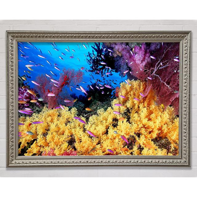 The Oceans Colour Framed Print Bright Star Size: 84.1cm H x 118.9cm W on Productcaster.