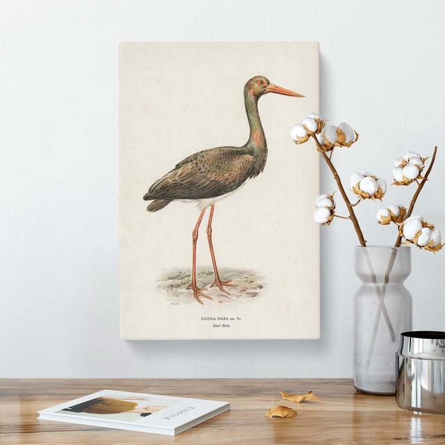 Black Stork by Von Wright - Wrapped Canvas Painting East Urban Home Size: 50cm H x 35cm W x 3cm D on Productcaster.