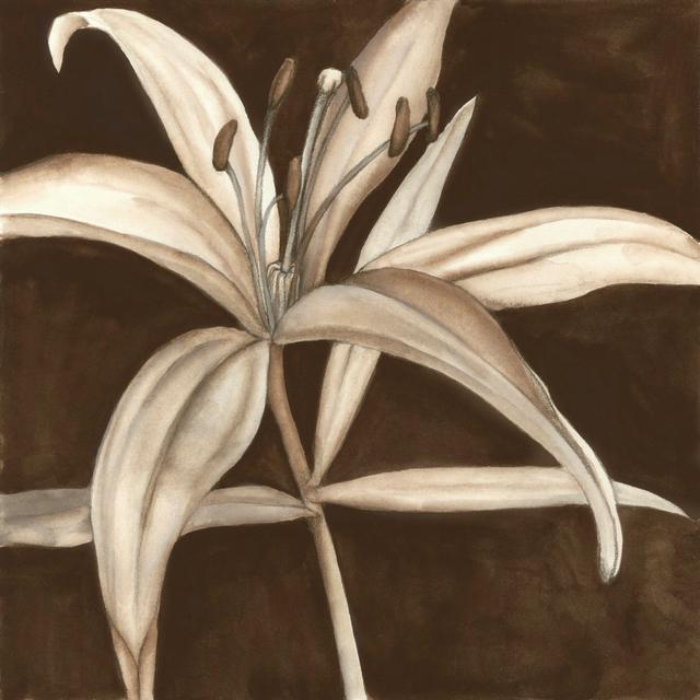 Sepia Lily II - Wrapped Canvas Art Prints Rosalind Wheeler Size: 30cm H x 30cm W on Productcaster.