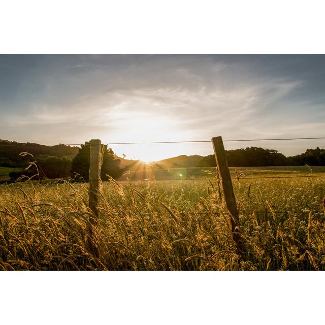 Sunset in front of Field by Jens Breuer - Wrapped Canvas Photograph Latitude Run Size: 81cm H x 122cm W on Productcaster.