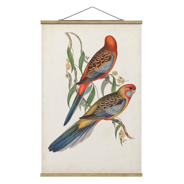 Tropical Parrots II - Graphic Art Print Bay Isle Home Size: 150cm H x 100cm W x 0.3cm D on Productcaster.