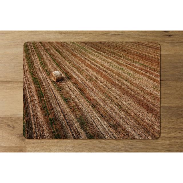 Doudy Hay Bale Fields Placemat (Set of 6) East Urban Home on Productcaster.