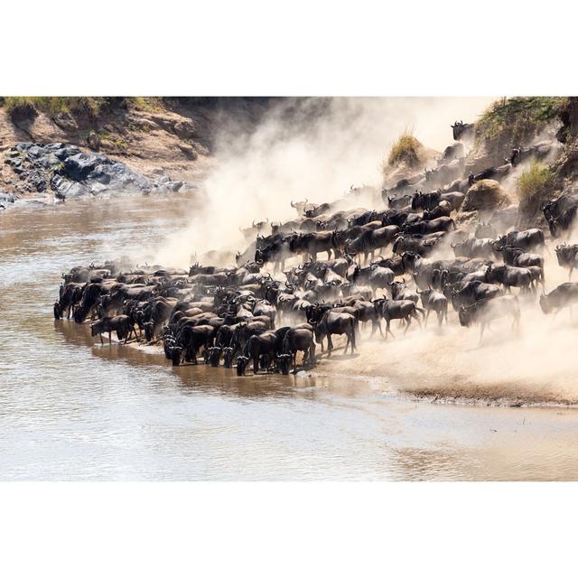 Great Wildebeest Migration In Kenya by 1001slide - No Frame Art Prints on Canvas 17 Stories Size: 30cm H x 46cm W on Productcaster.