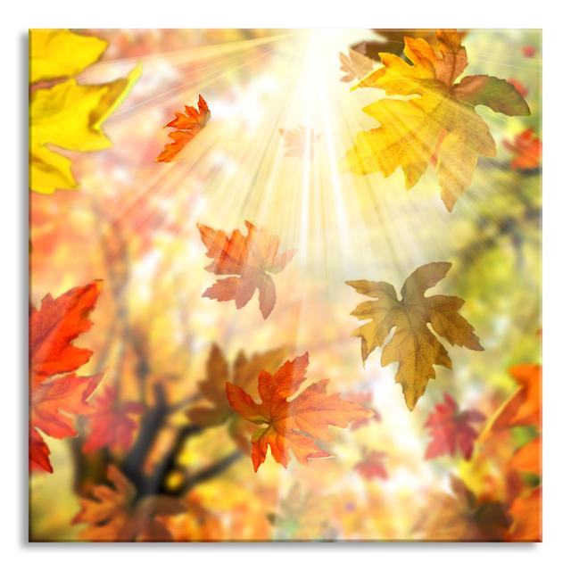 Falling Colourful Autumn Leaves - No Frame Print on Glass Brayden Studio Size: 80cm H x 80cm W x 0.4cm D on Productcaster.