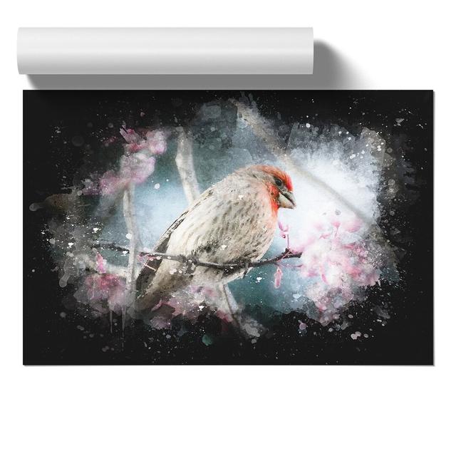 A House Finch Bird - No Frame Print East Urban Home Size: 42cm H x 59cm W x 0.1cm D on Productcaster.