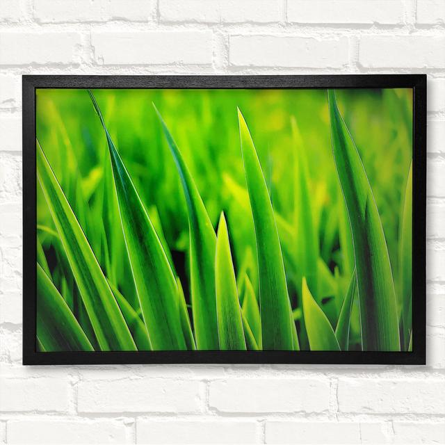 Green Leaf Shafts - Single Picture Frame Art Prints Ebern Designs Size: 59.7cm H x 84.1cm W x 3cm D, Format: Black Framed Wood on Productcaster.