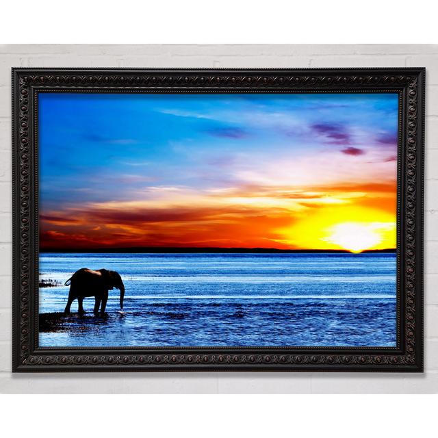 Elephant Ocean - Single Picture Frame Art Prints Bright Star Size: 100cm H x 141.4cm W on Productcaster.