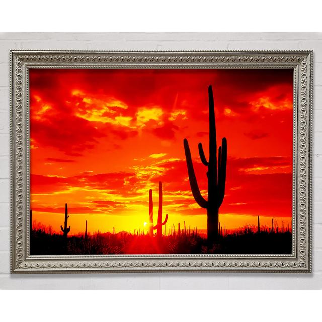 Red Desert Cactus Framed Print Bright Star Size: 100cm H x 141.4cm W on Productcaster.