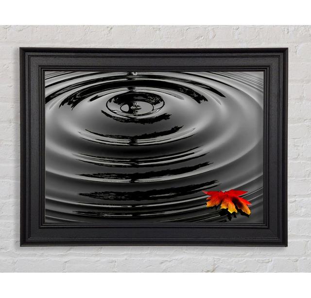 Water Ripple Red Leaf Framed Print Wall Art Ivy Bronx Size: 42cm H x 59.7cm W x 8cm D, Format: Galway Black Framed Paper on Productcaster.