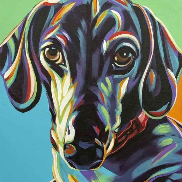 Dachshund I by Carolee Vitaletti - Wrapped Canvas Painting Rosalind Wheeler Size: 122cm H x 122cm W on Productcaster.