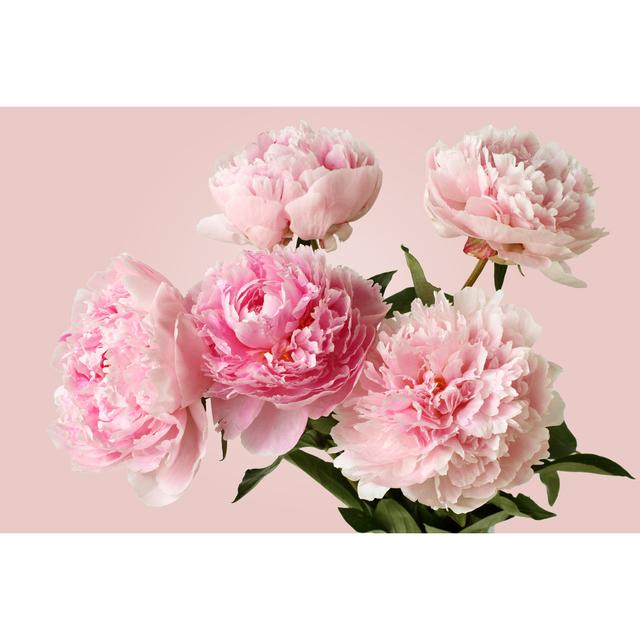 Bouquet of Pink Peonies by Owl_Photographer - Wrapped Canvas Photograph 17 Stories Size: 20cm H x 30cm W on Productcaster.