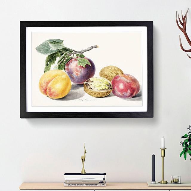 Peaches by Michiel Van Huysum - Picture Frame Painting Print East Urban Home Frame Option: Black Framed, Size: 62cm H x 87cm W x 2cm D on Productcaster.