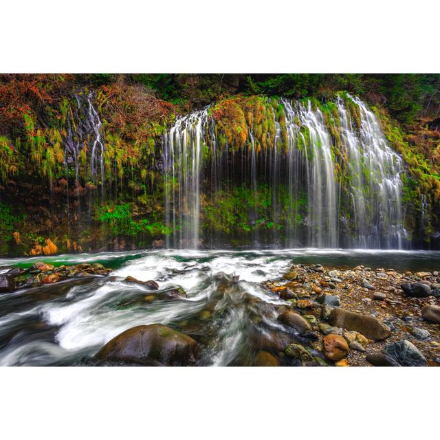 Maybee Mossbrae Falls, California by Bartfett - Wrapped Canvas Print Alpen Home Size: 51cm H x 76cm W x 3.8cm D on Productcaster.