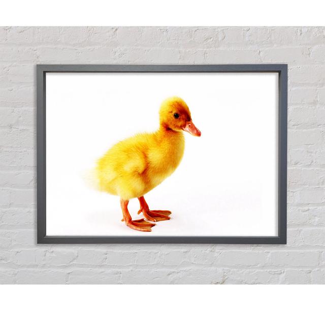 Duckling Framed Print Bright Star Size: 84.1cm H x 118.9cm W x 3.3cm D on Productcaster.