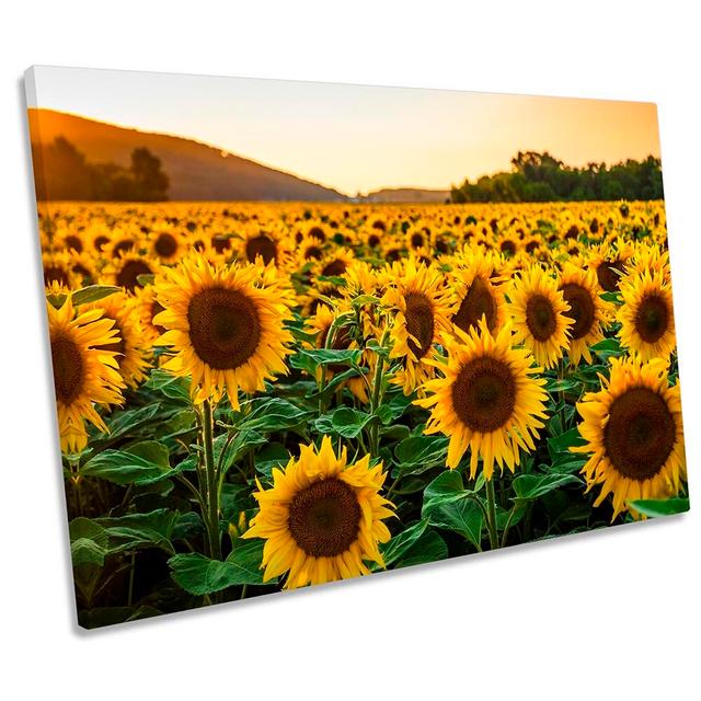 Sunflower Sunset Field - Wrapped Canvas Print Ebern Designs Size: 61cm H x 91.4cm W x 4cm D on Productcaster.