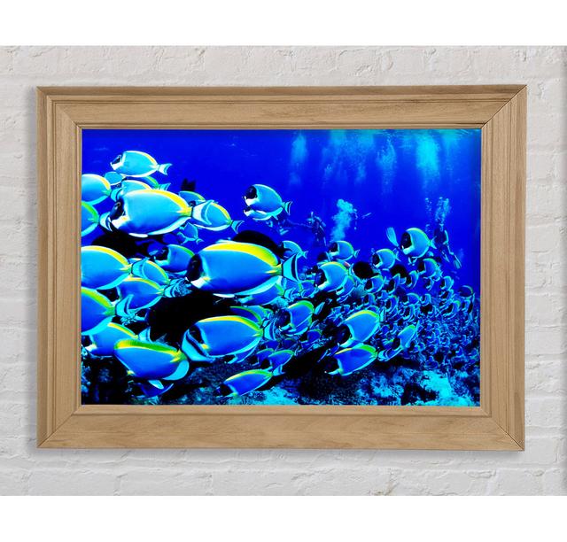 Single Picture Frame Art Prints Bright Star Size: 59.7cm H x 84.1cm W on Productcaster.